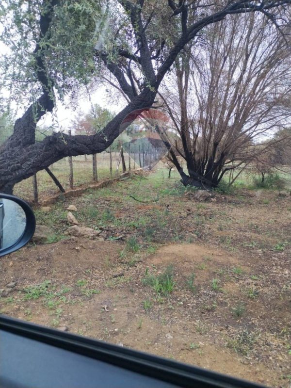 Landwirtschaftliche Fläche in Caltagirone