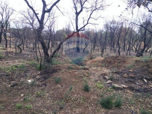 Terreno agrícola em Caltagirone