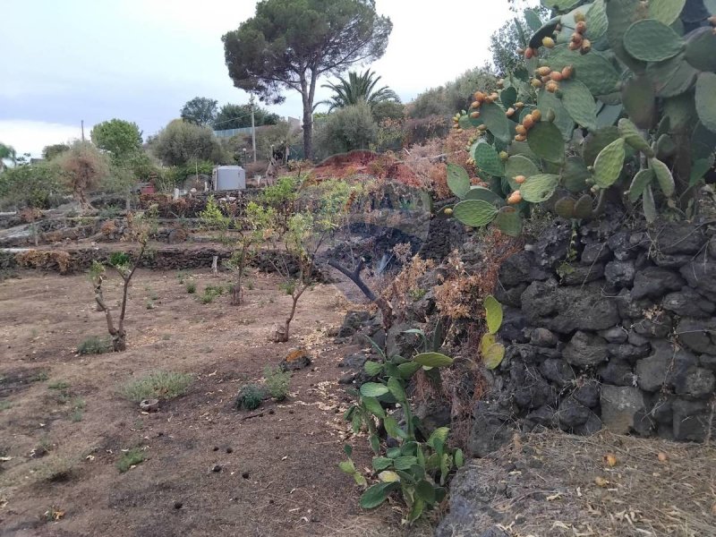 Terreno agrícola em Aci Castello