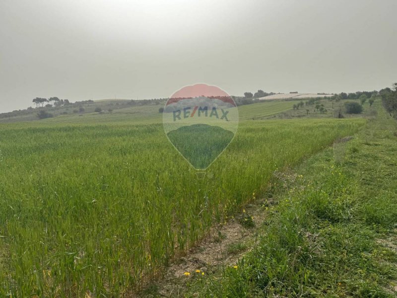 Agricultural land in Noto