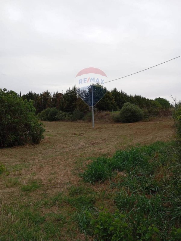 Terreno agrícola em Caltagirone