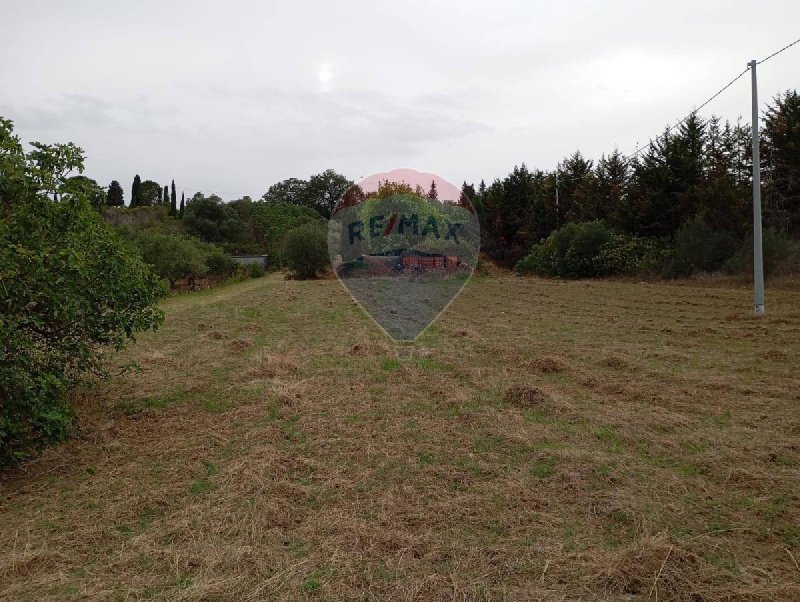 Terreno agrícola em Caltagirone