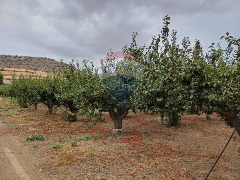 Agricultural land in Chiaramonte Gulfi