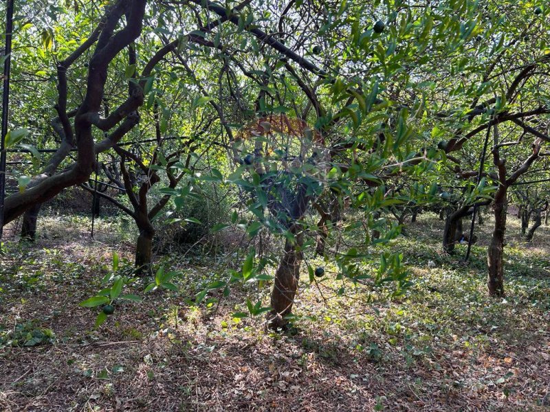 Terreno agrícola en Villabate