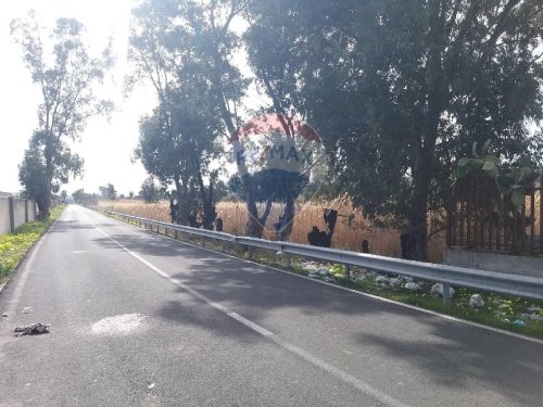 Terreno agrícola en Catania