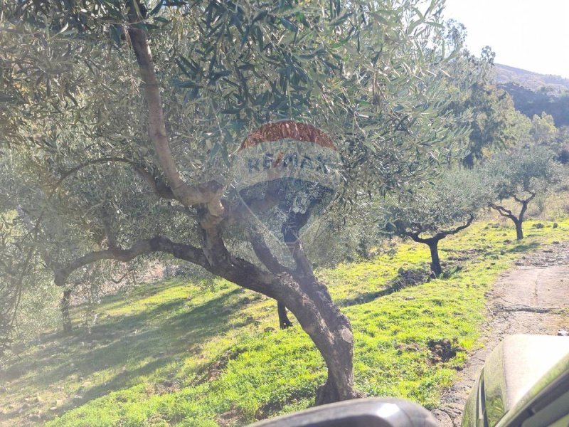 Landwirtschaftliche Fläche in Piedimonte Etneo