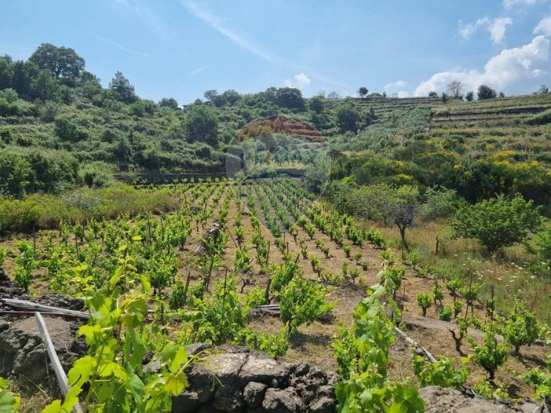 Terreno agrícola en Tremestieri Etneo