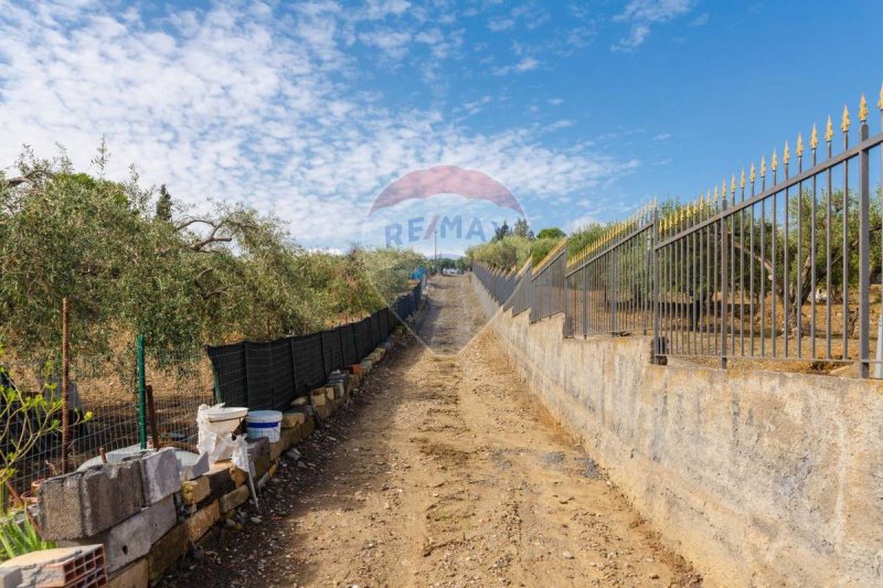 Terreno agrícola em Motta Sant'Anastasia