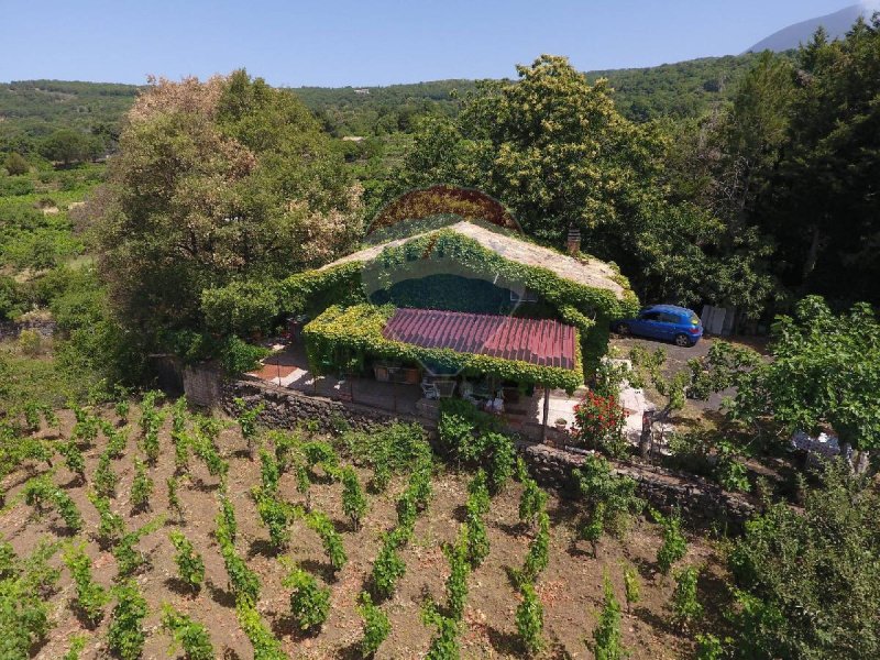 Chalet in Santa Maria di Licodia