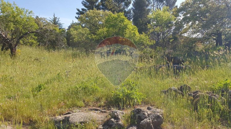 Terreno agricolo a Biancavilla