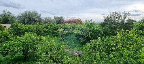 Terreno agrícola em Paternò