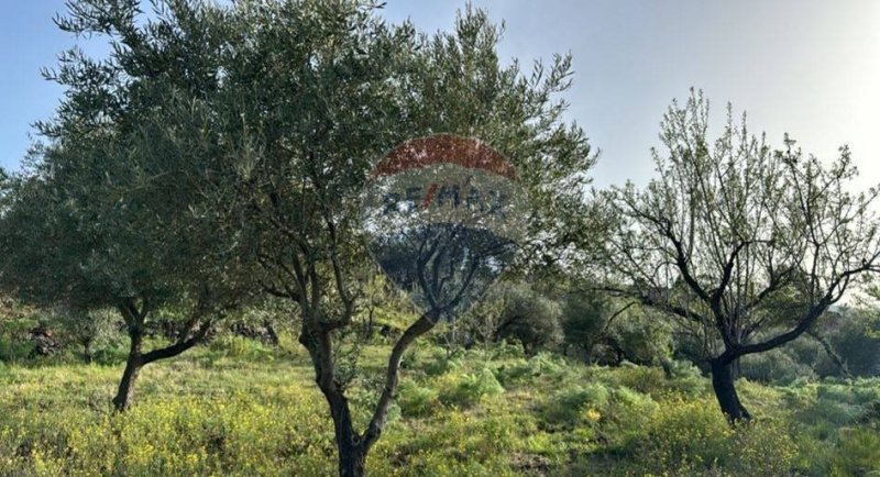 Сельскохозяйственный участок в Рандаццо