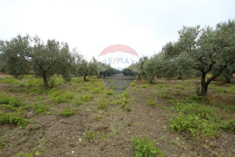 Terreno agrícola en Chiaramonte Gulfi