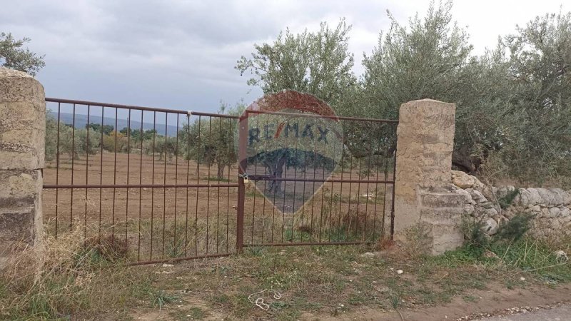 Terreno agrícola em Chiaramonte Gulfi