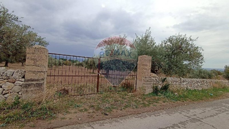 Terreno agrícola em Chiaramonte Gulfi