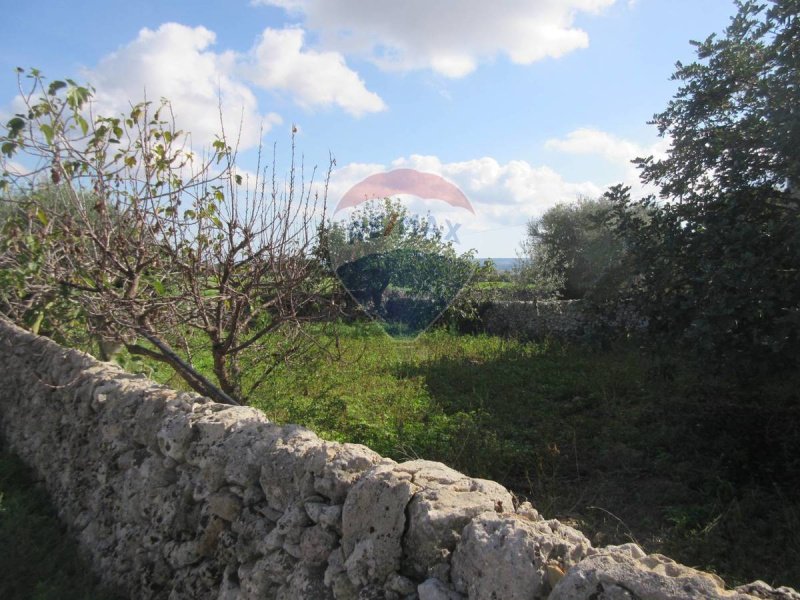 Landbouwgrond in Noto