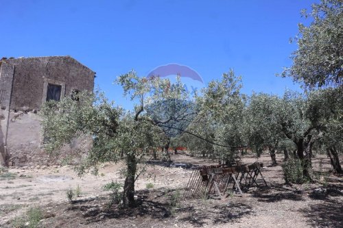 Landwirtschaftliche Fläche in Catania