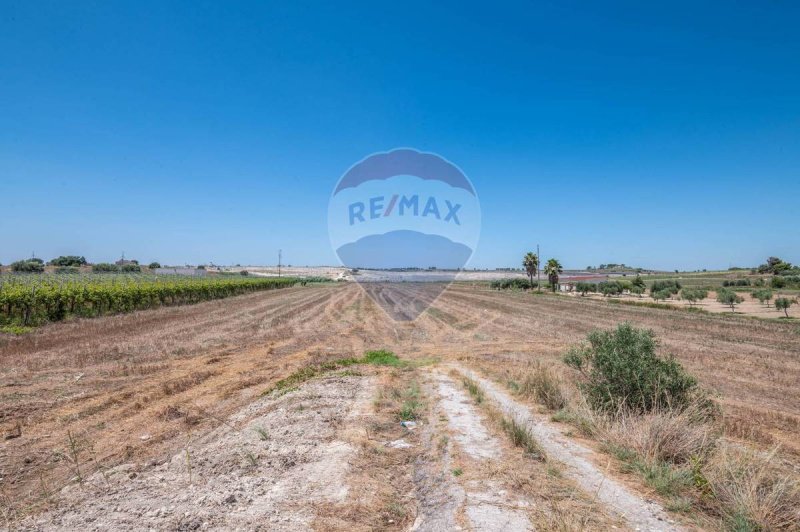Terreno agricolo a Noto