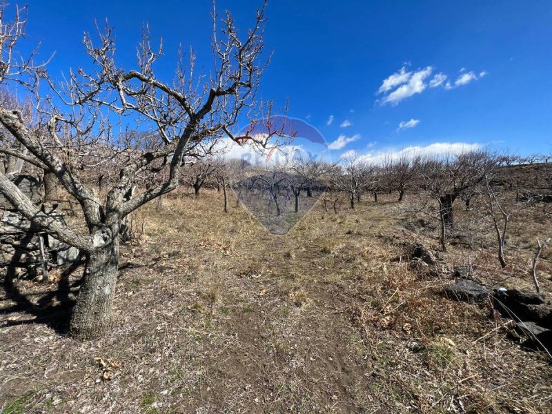 Landwirtschaftliche Fläche in Biancavilla