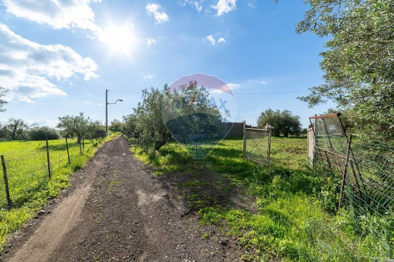 Terreno agrícola em Motta Sant'Anastasia