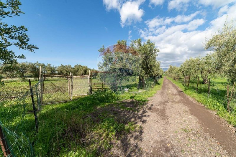 Terreno agrícola em Motta Sant'Anastasia