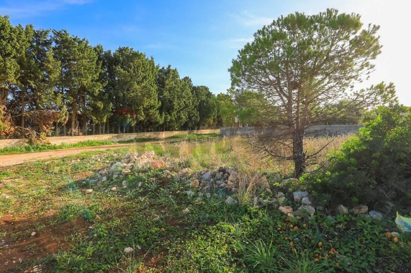 Building plot in Syracuse