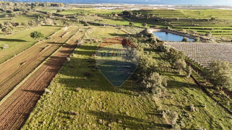 Terreno agrícola en Caltagirone