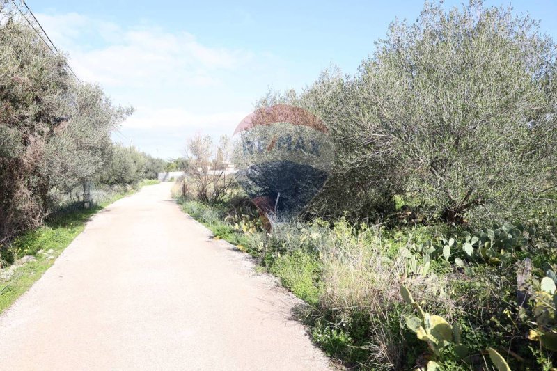 泰拉西尼建筑用地