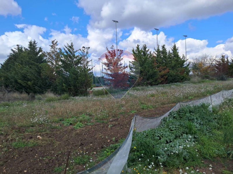 Terreno para construção em Comiso