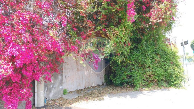 Terreno para construção em San Gregorio di Catania