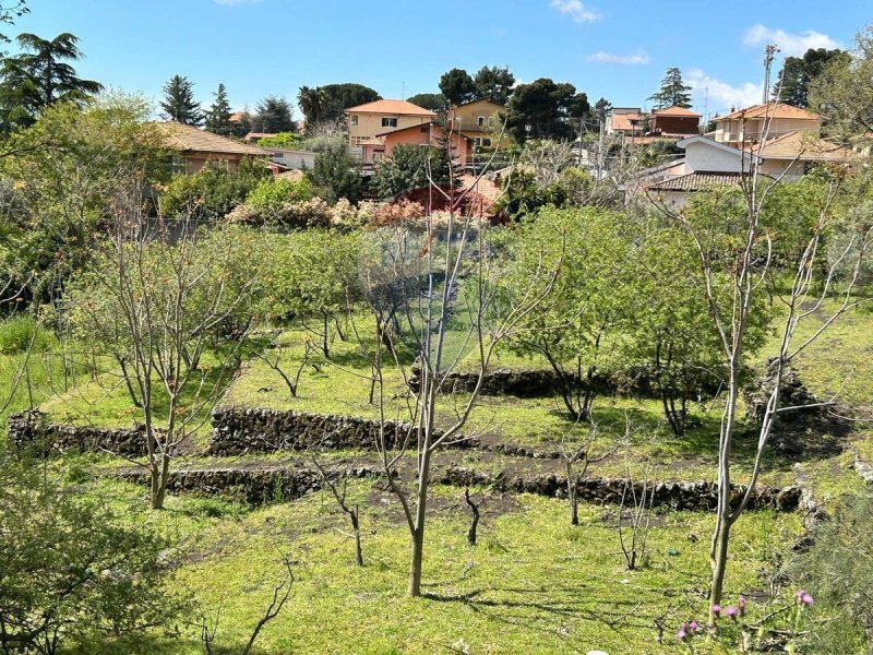 Terreno agricolo a Pedara