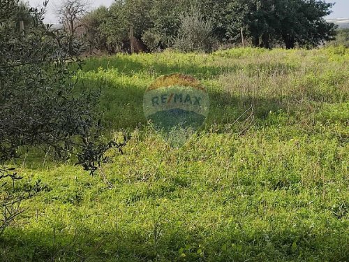 Landwirtschaftliche Fläche in Chiaramonte Gulfi