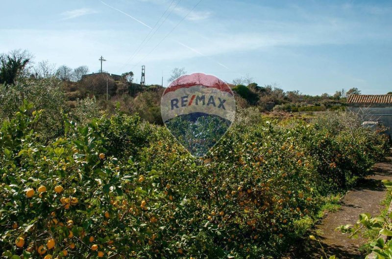 Terreno agricolo a Zafferana Etnea