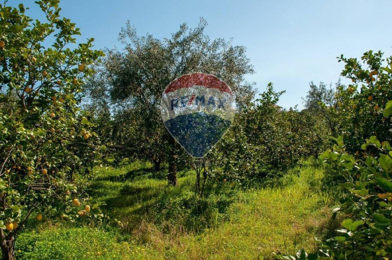 Terreno agricolo a Zafferana Etnea