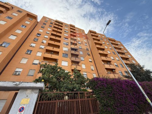 Wohnung in Palermo