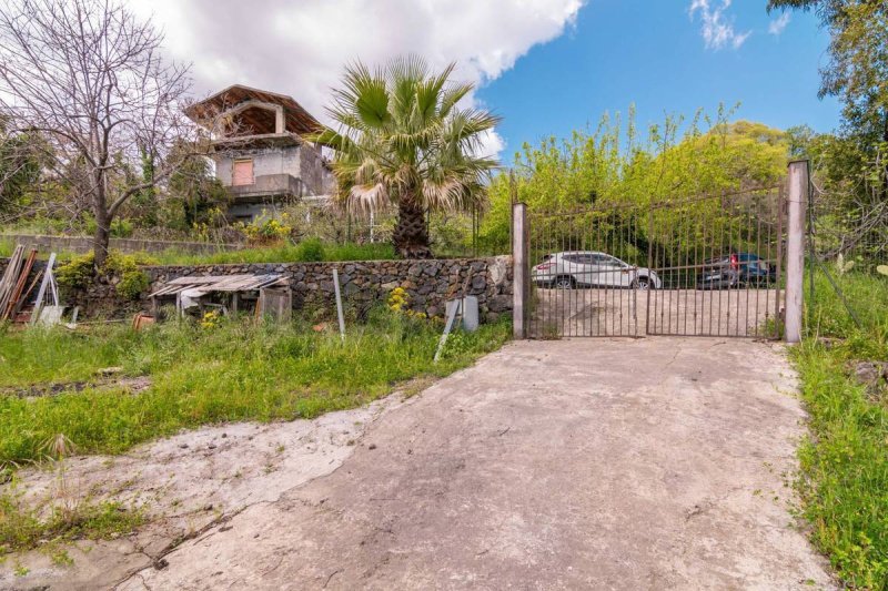 马斯卡利农用土地