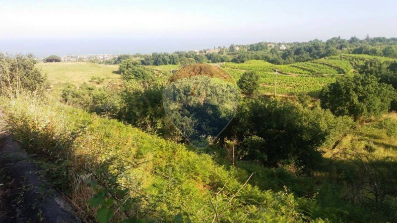 Terreno agricolo a Santa Venerina