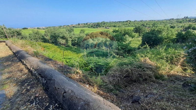 Terreno agrícola em Santa Venerina