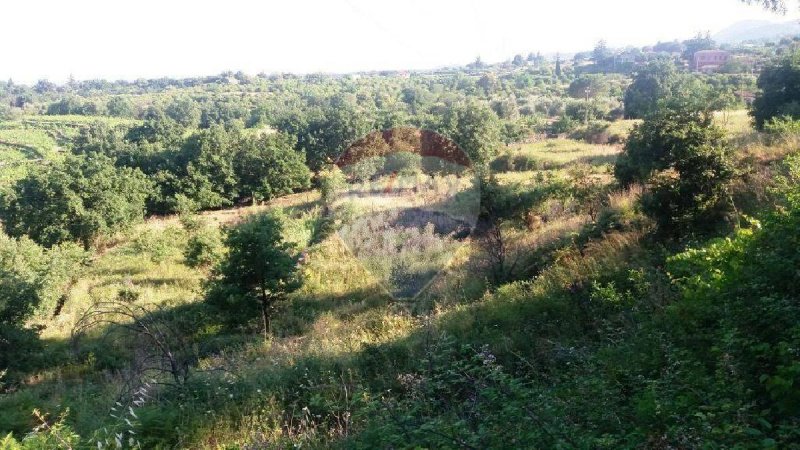 Terreno agricolo a Santa Venerina