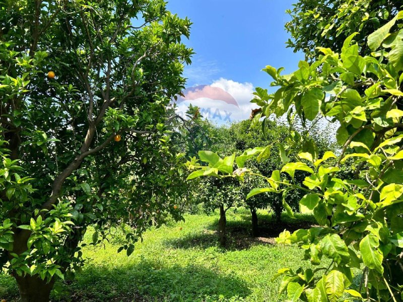 Landwirtschaftliche Fläche in Aci Sant'Antonio