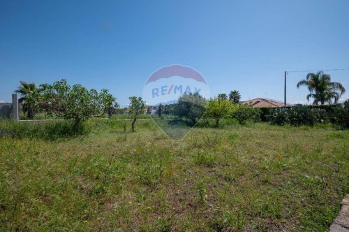 Сельскохозяйственный участок в Граммикеле