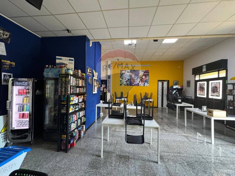 Zakelijk onroerend goed in Catanië