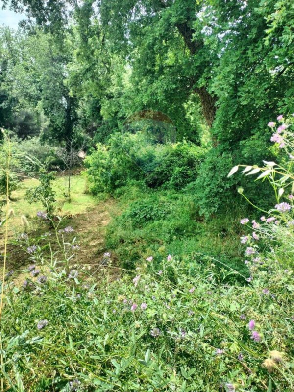 Terreno agrícola en Viagrande