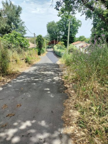 维亚格兰德农用土地