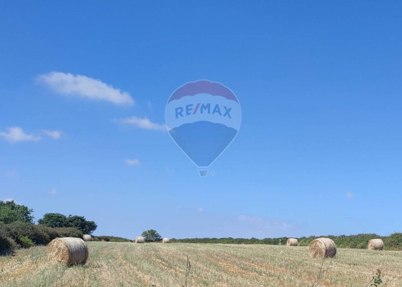 拉古萨农用土地