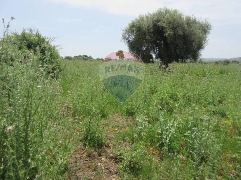 Terreno agrícola em Melilli