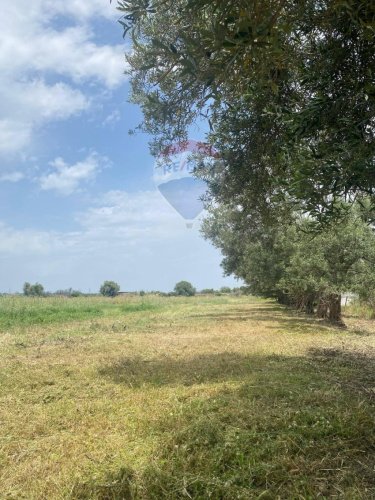 Agricultural land in Melilli