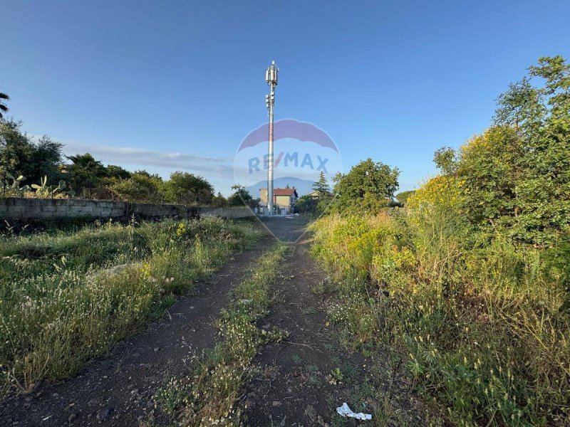 马斯卡卢恰农用土地