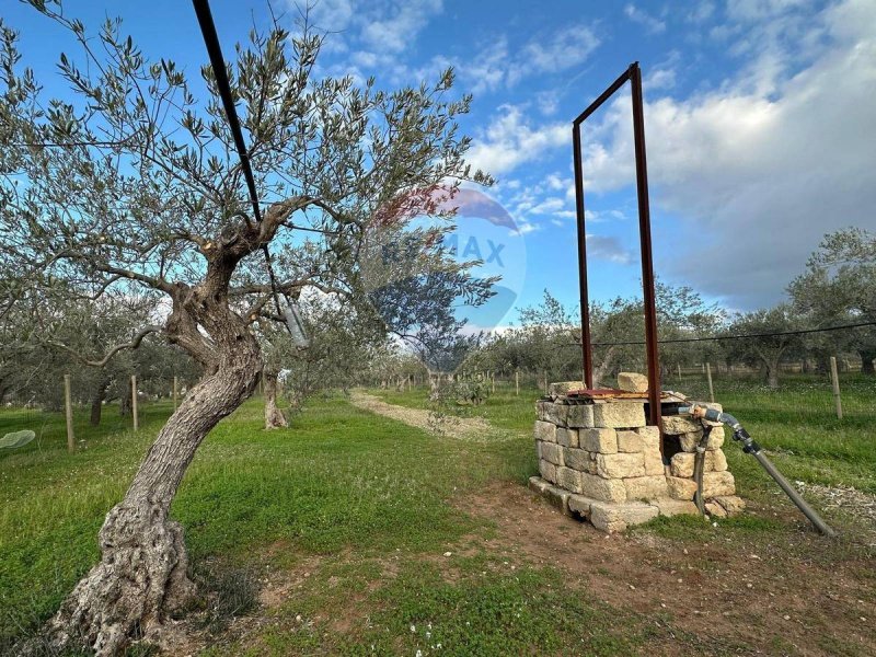 Landbouwgrond in Chiaramonte Gulfi