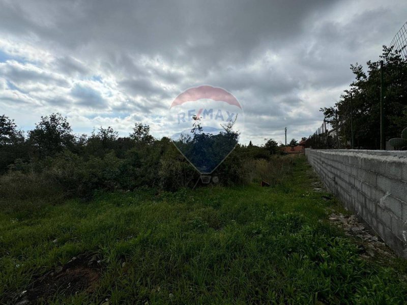 Agricultural land in Mascalucia